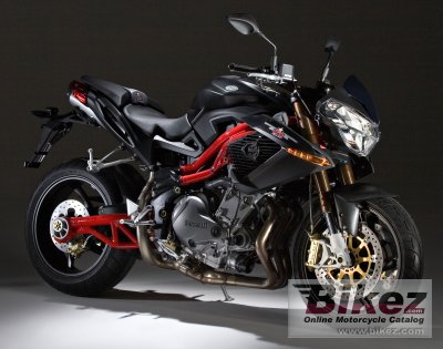 2006 benelli tnt sport photo